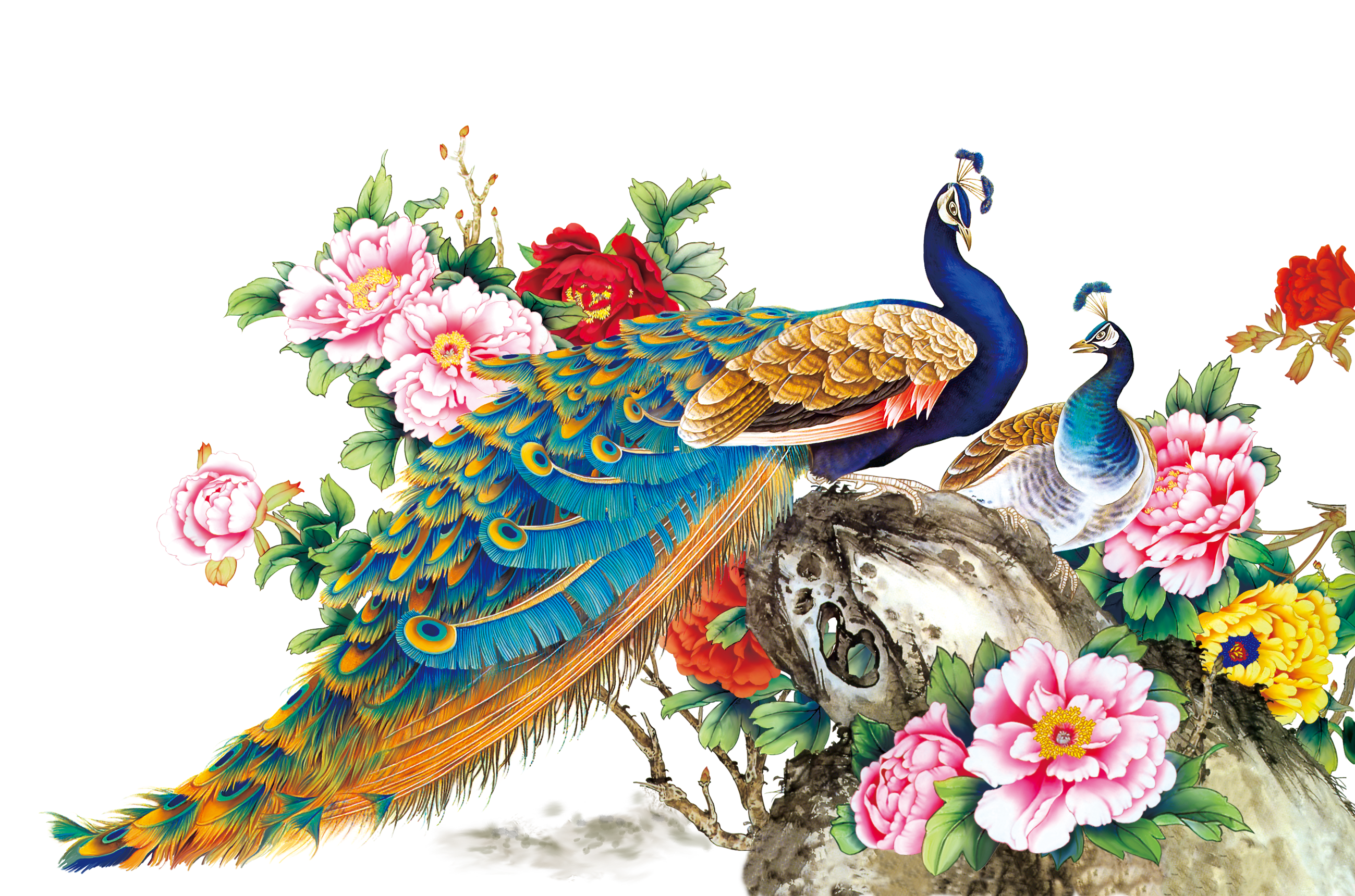 Chinese Painting Techniques Bird Peafowl Wall Decal - Peacock Psd (2599x1720)
