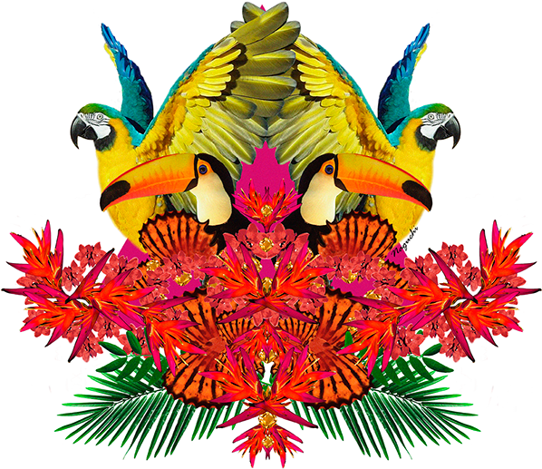 Thank You - Papoušek (600x523)
