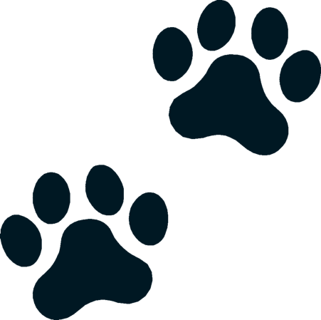 Welcome To Boston Terrier Memorials - Cat (451x449)