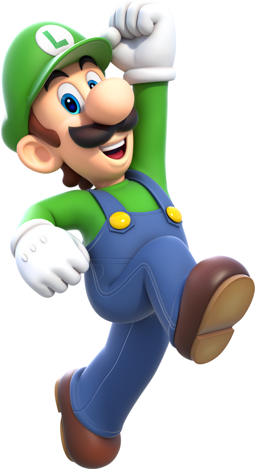 Luigi Is The Green Stached Brother Of The Red Stached - Super Mario 3d World Luigi (857x1573)