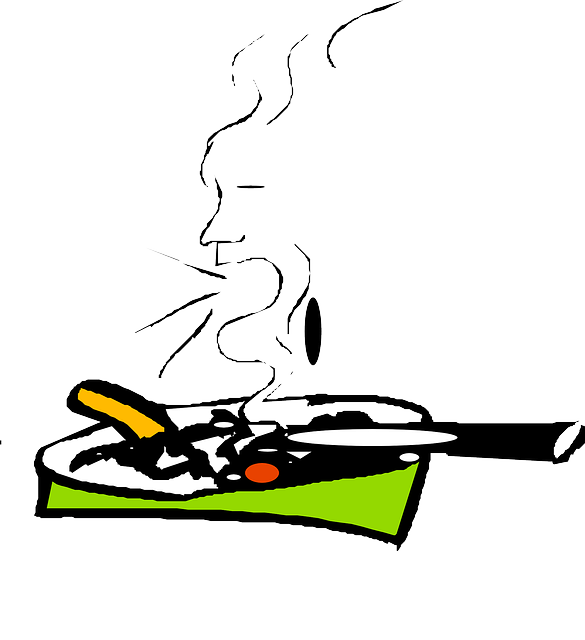 Tray Smoking, Smoke, Ash, Ashtray, Rubbish, Cigar, - Ashtray Clip Art (585x640)