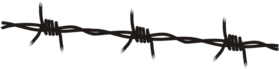 Barbed Wire - Barb Wire Free Vector (958x237)