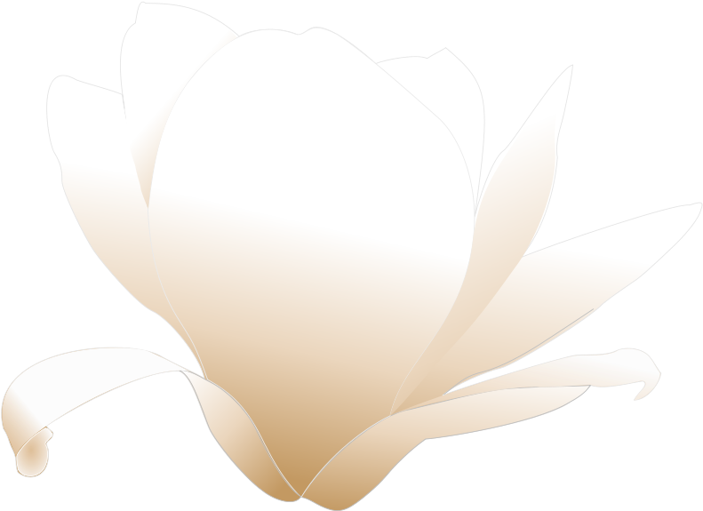 Get Notified Of Exclusive Freebies - Magnolia Clip Art (800x610)