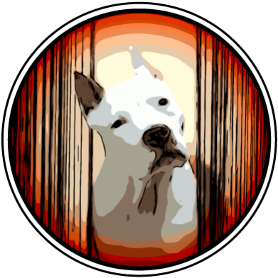 Shadow Red Shōgun - Devon Horse Show (400x400)