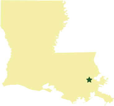 Louisiana South Central Aids Education Amp Training - East And West Baton Rouge Parish (368x340)