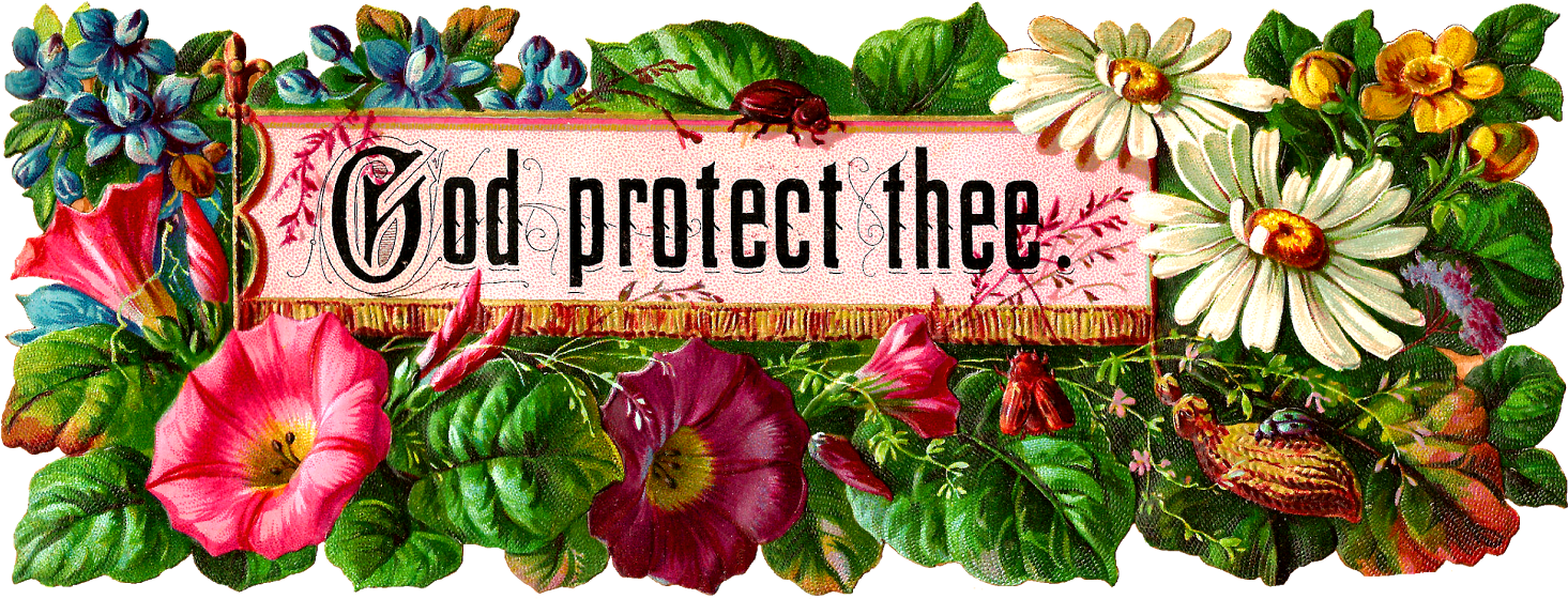 Free Religious Clip Art Flowers - Gazania (1600x700)