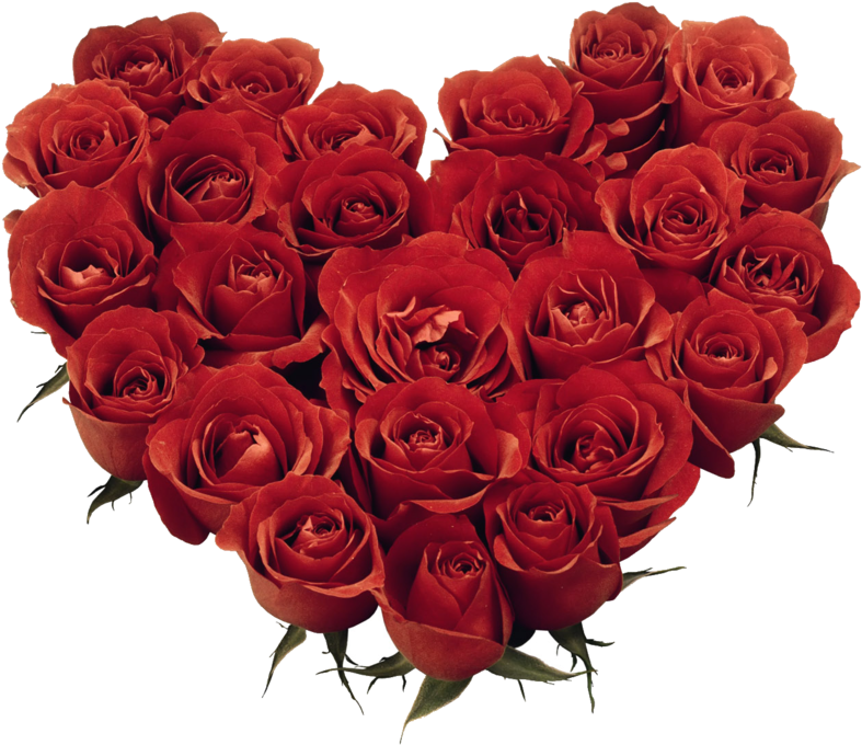 V Day Massage - Red Roses Pic Download (1000x750)
