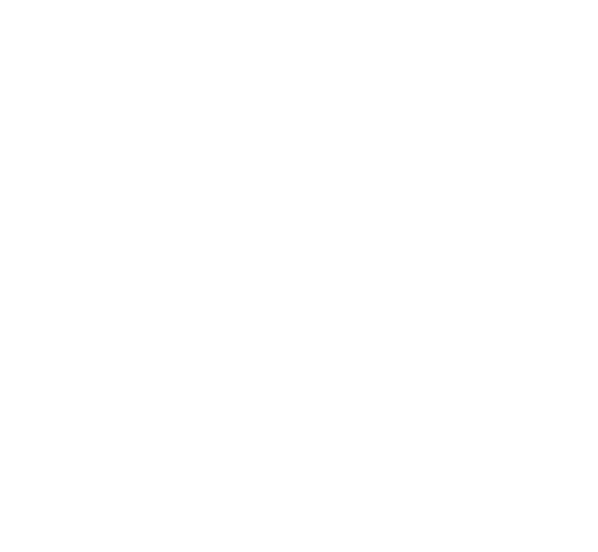 Dylan Point Loma - Paw White Plain Logo Transparent Background (542x500)