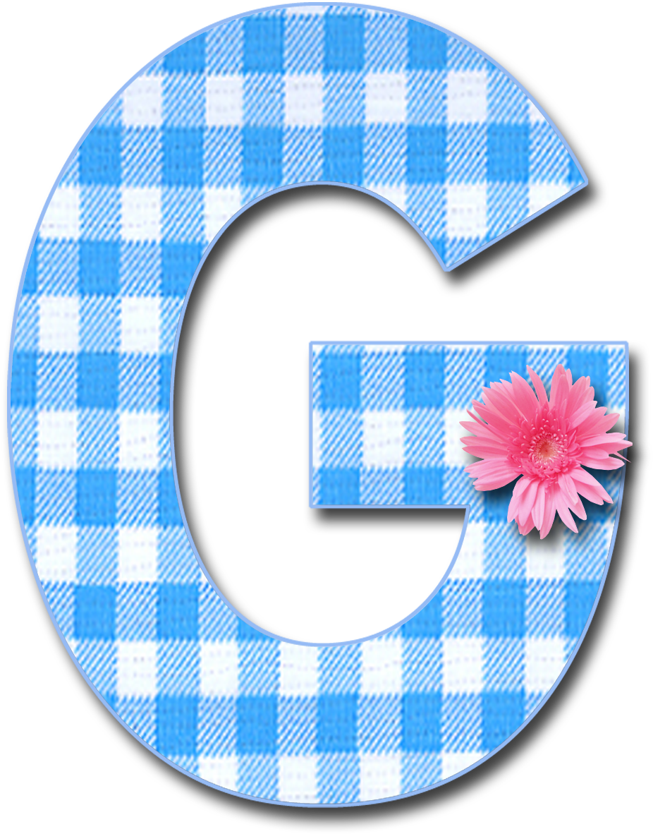 Blue Gingham G Png 1,200×1,321 Pixels - Blue Ginham D Letters Png (1200x1321)