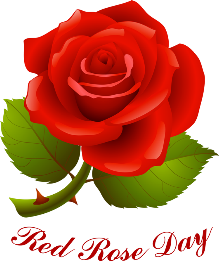 Red Rose Day (768x911)