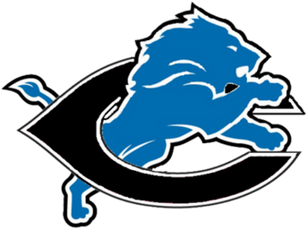 Donate - Detroit Lions New Logo 2017 (500x500)