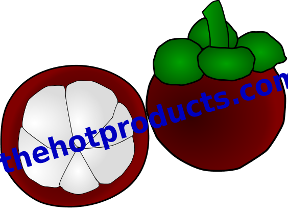 Mangosteen Thai Fruit Png File Clipart - Mangosteen Clipart (564x413)
