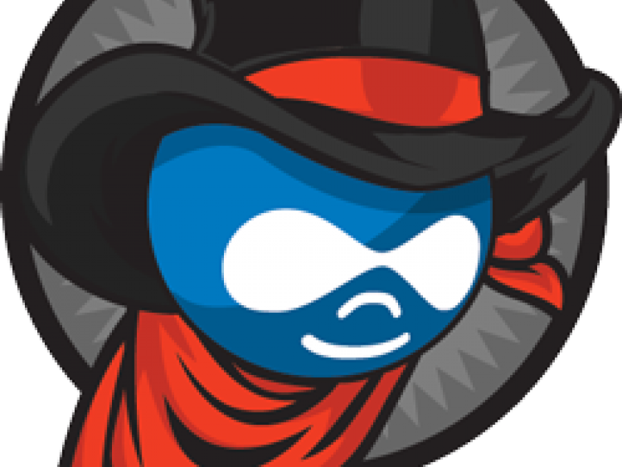 The Top 13 Reasons To Come To Dallas Drupal Days 2012 - Drupal (900x675)