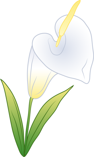Calla Lily Clipart Transparent - Calla Lily Clipart Transparent (328x550)