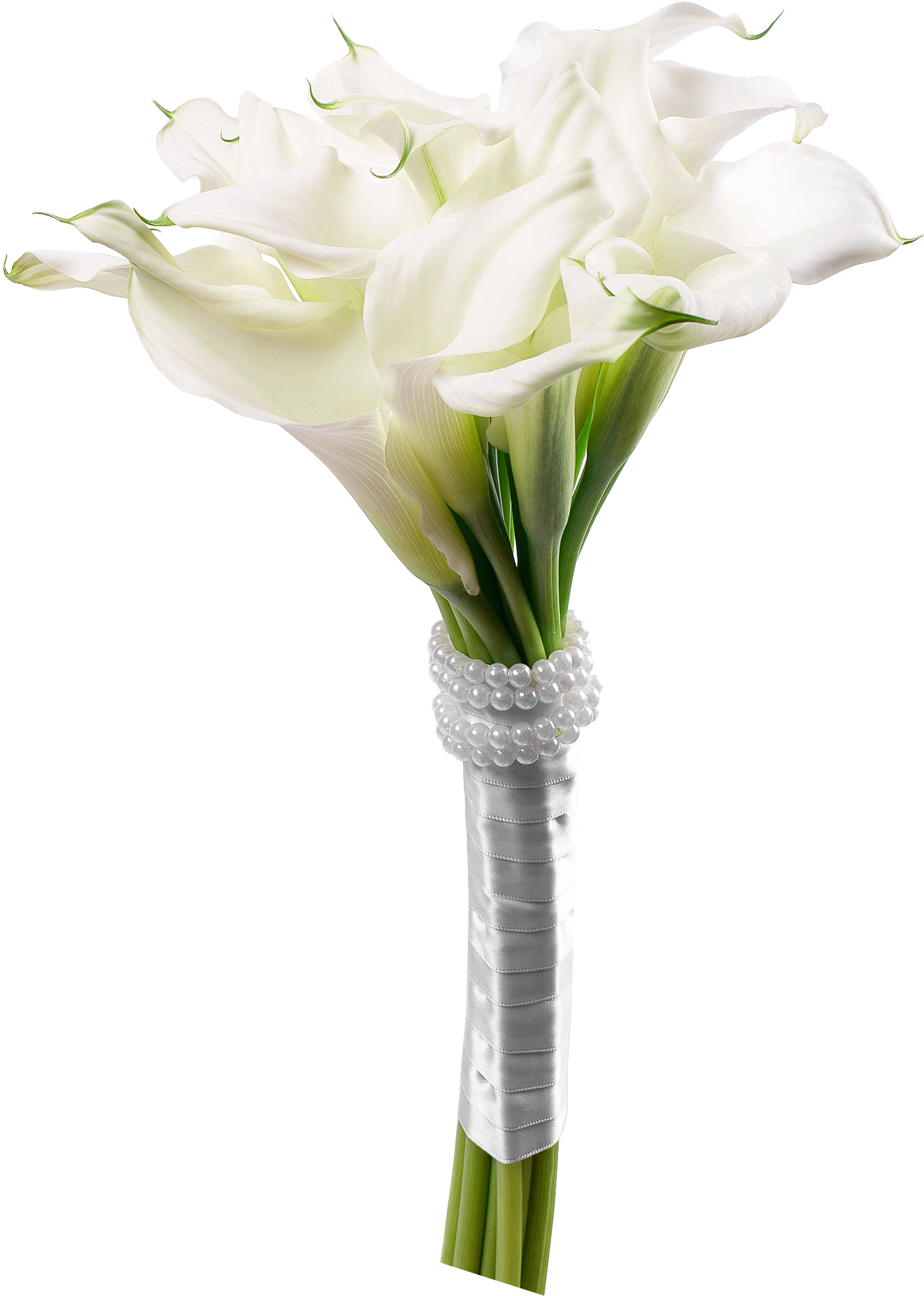 Calla Lily Bouquet Png Clip Art - Giant White Arum Lily (1848x2499)