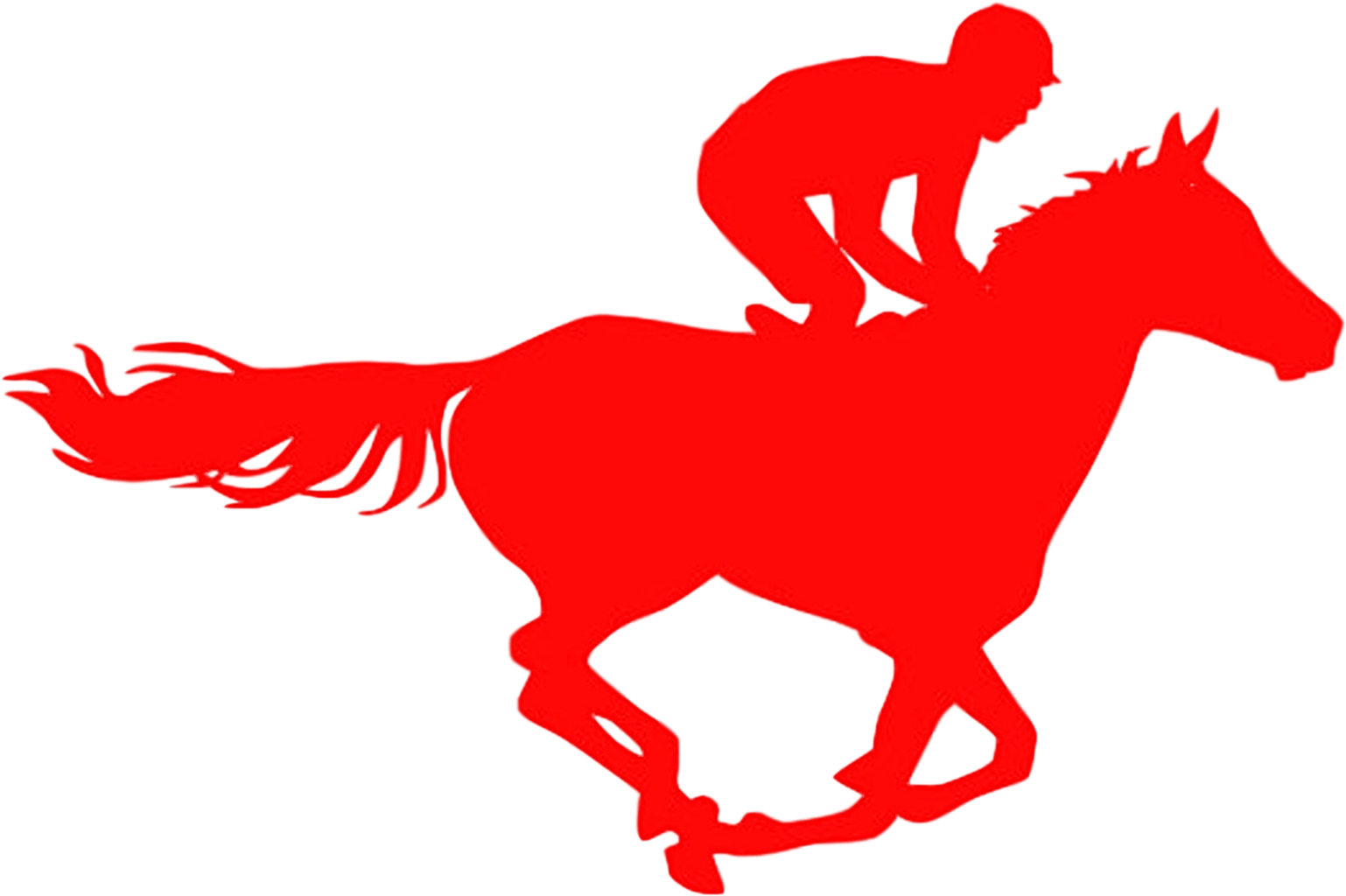 H2h Derby Event For Charity - Horse (1576x1089)