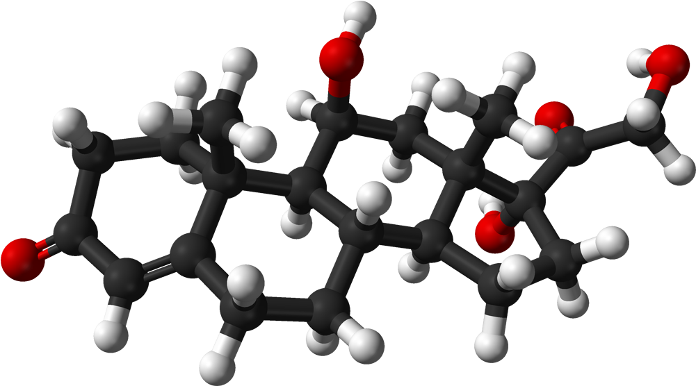Kentucky Derby Clip Art Free - Cortisol Molecule (1100x655)
