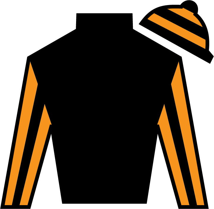 Rayya Sheikh Rashid Bin Rahid Al Nuaimi - Rayya Sheikh Rashid Bin Rahid Al Nuaimi (720x702)