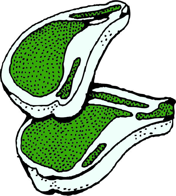 Sandwich Food Hamburger - Fleisch Clipart (600x669)