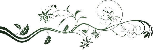 フランス焼き菓子各種 □ 生洋菓子各種 - Flower Patterns And Designs (643x212)