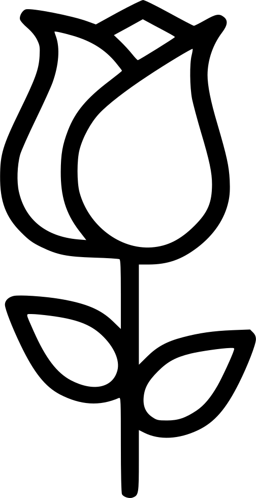 Romantic Valentine Day Rose Lotus Flower Comments - Rose (504x980)