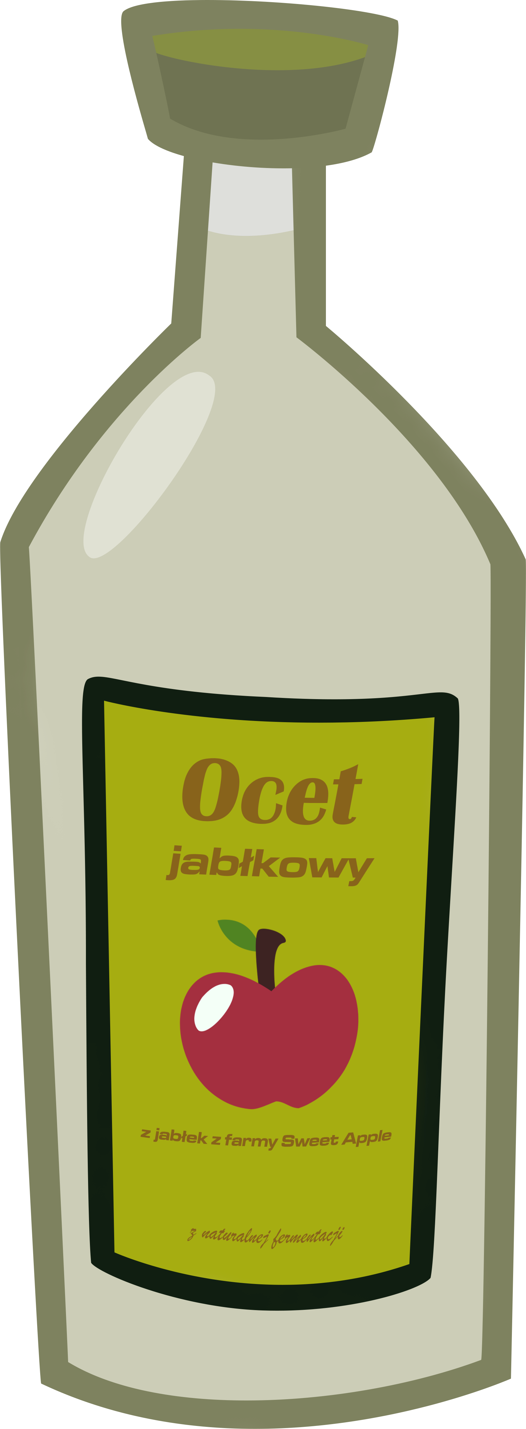 Apple Cider Vinegar - Apple Cider Vinegar Vector (1714x4652)