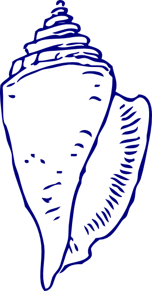 Shell Clip Art Black And White (312x595)