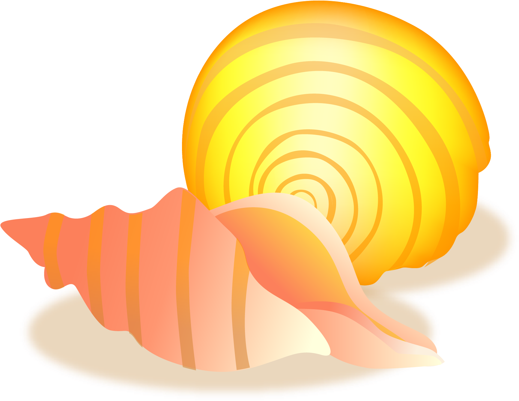 Conch Sea Snail Seashell - Conch (2081x1706)