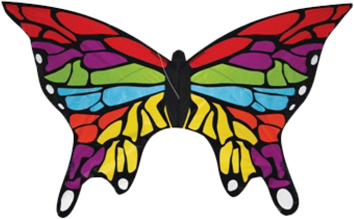 Rainbow Butterfly Clipart Single - Butterfly (727x453)
