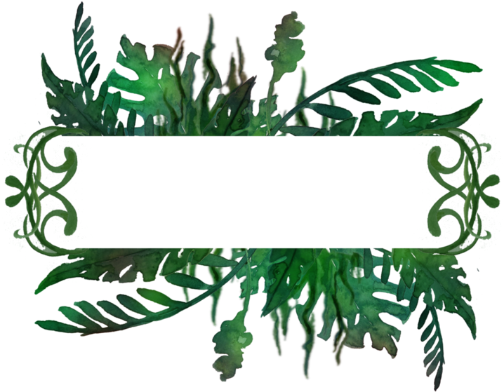 933 Jungle Frame 01 By Tigers-stock - Jungle Png (752x1063)