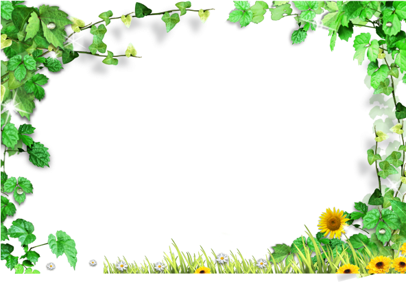 Green Leaves Frame,green Leaves Background Border - Green Leaves Background Png (591x591)