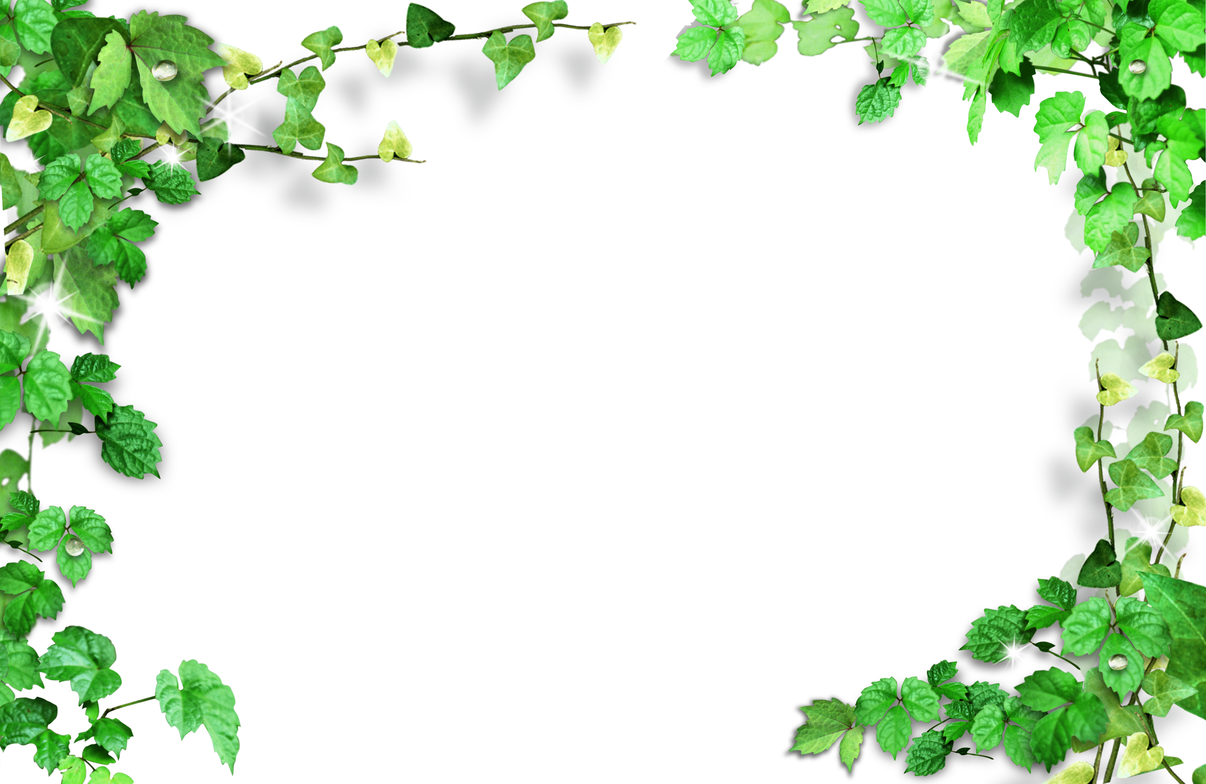 Green Leaves Frame,plant Frame - Green Leaves Background Png (4000x2600)