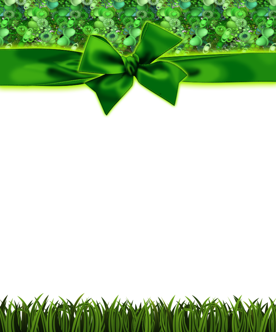 Green Grass Frame With Bow Png By Melissa-tm On Deviantart - Remington - Secadora Para Cabello Protección De Cerámica (900x1080)