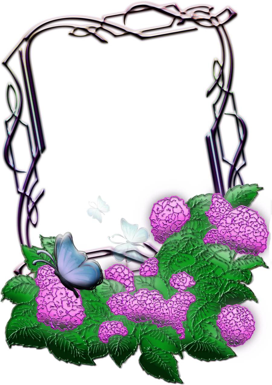 The Flower Frame By Olganew The Flower Frame By Olganew - Flower Photo Frame (900x1273)