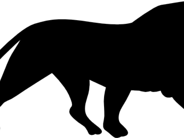 Lions Silhouette Cliparts - Safe Who Said Anything About Safe (640x480)