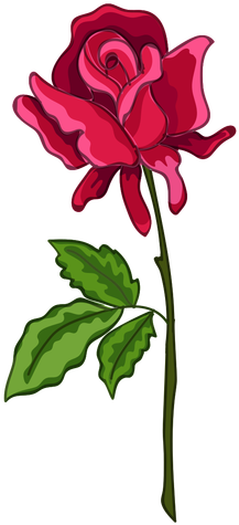 Rose Stem Water Paint Icon Transparent Png - Drawn Rose (512x512)