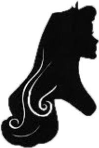 Sleeping Beauty Â€“ Wonderland Pin Trading - Sleeping Beauty Silhouette (504x507)