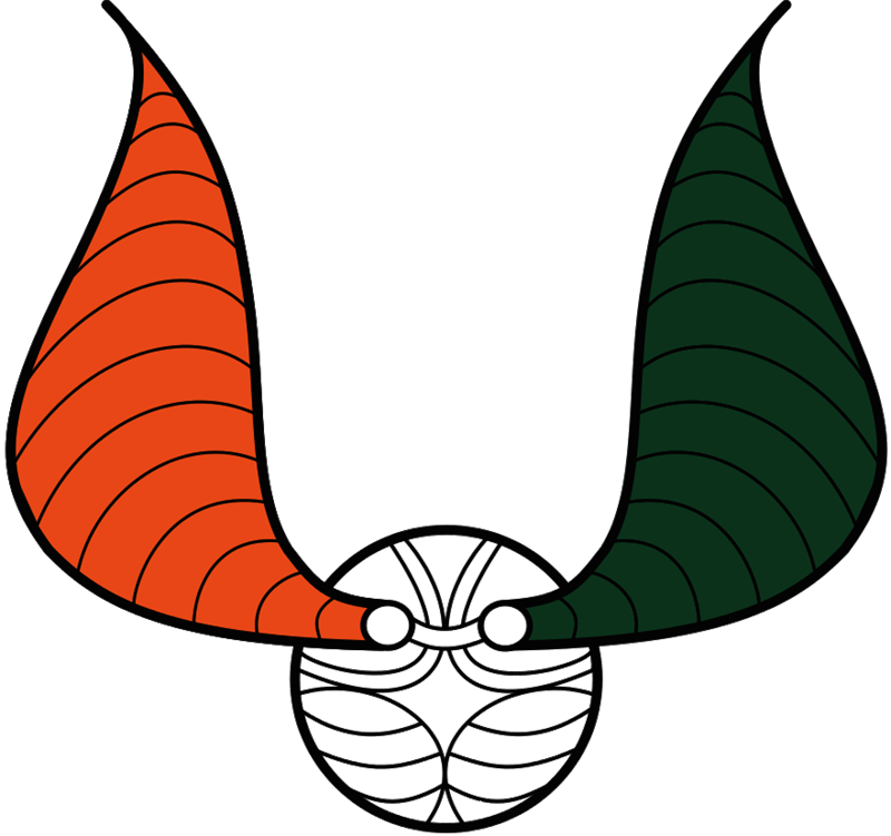 Hogwarts Globetrotters - Miami Hurricanes Men's Basketball (800x751)