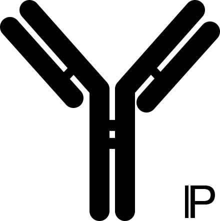 Antibody Black And White (440x442)