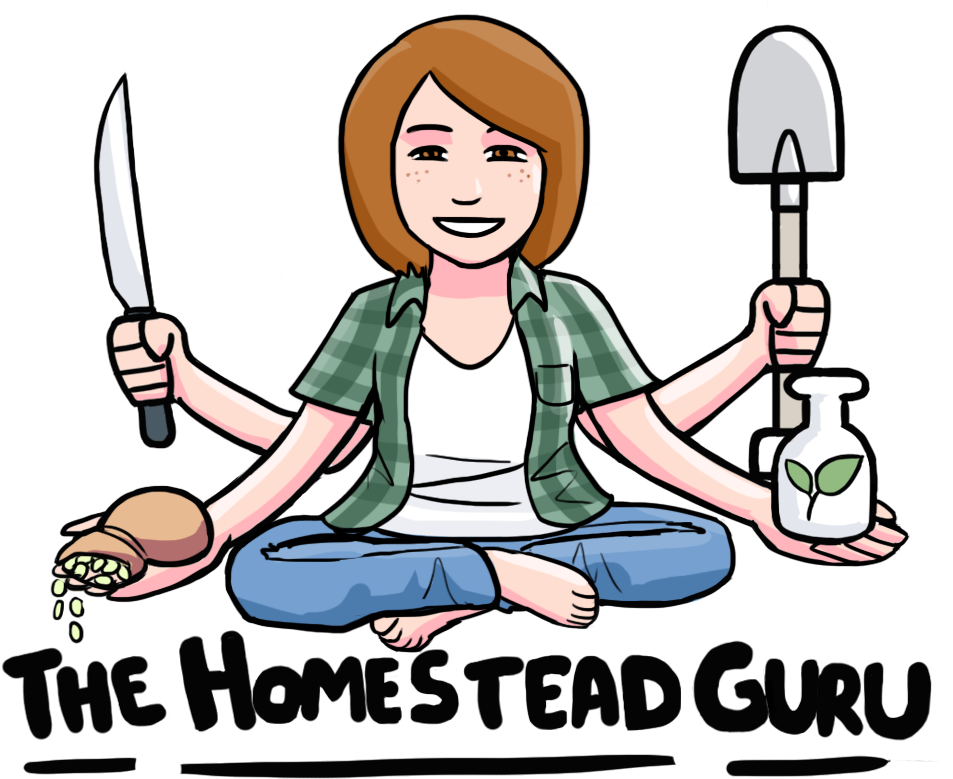 Photos Of Grow Foods Clip Art Medium Size - Cartoon (1000x920)