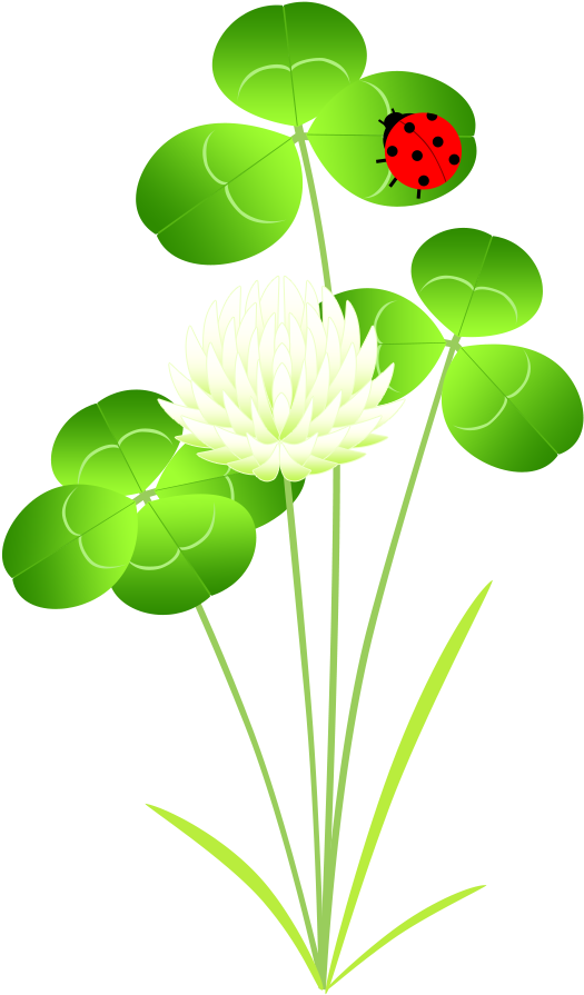 素材 透過png ダウンロード - Floral Design (600x960)