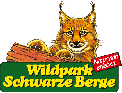 Wildpark Schwarze Berge Gutschein (400x305)