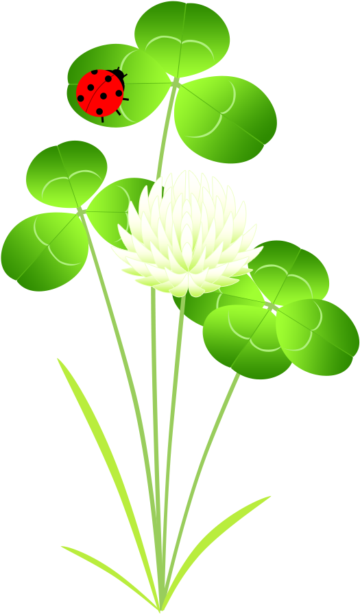 素材 透過png ダウンロード - Floral Design (600x960)