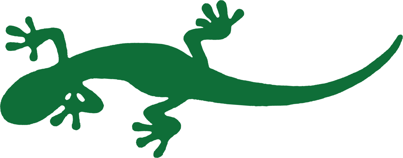 Newt Clipart Green - Green Newt Clipart (1280x503)