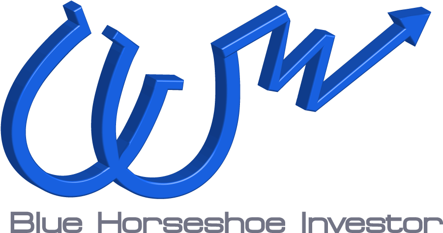 Logo Blue Horseshoe Investor - Erste Bank (1000x605)