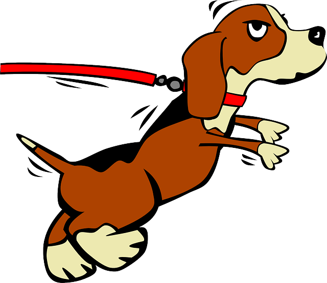 Small, Cartoon, Dog, Leash, Running, Beagle, Puppy - Dog On Leash Clipart (640x555)