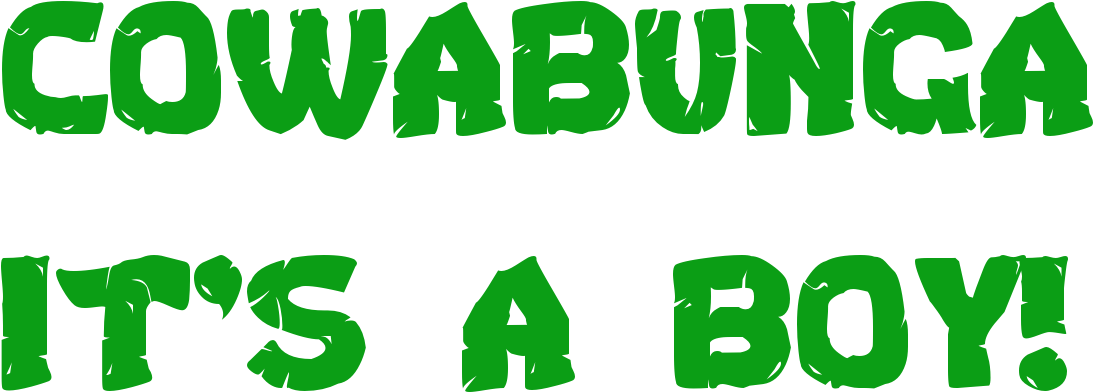 Baby Shower Themes - Turtle Power: The Definitive History Of The Teenage (1122x422)