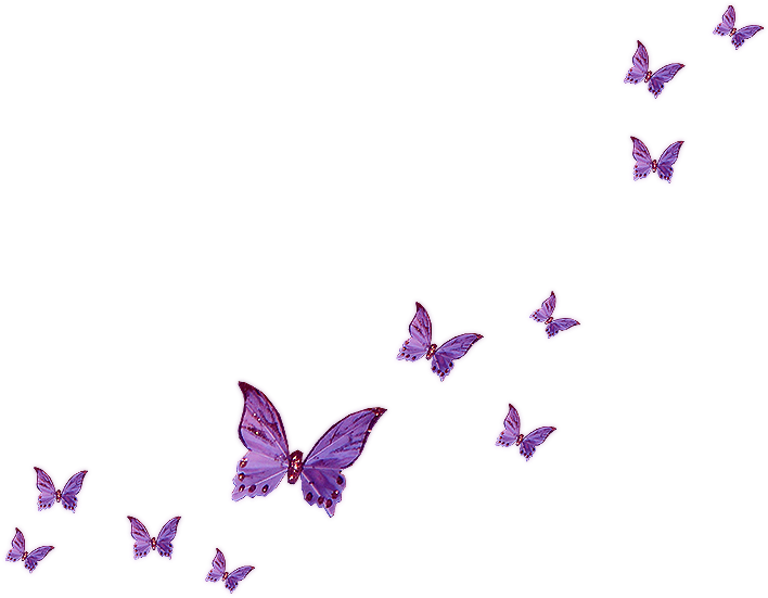 Fly Butterfly Clip Art - Pink Butterfly Flying Png (800x642)