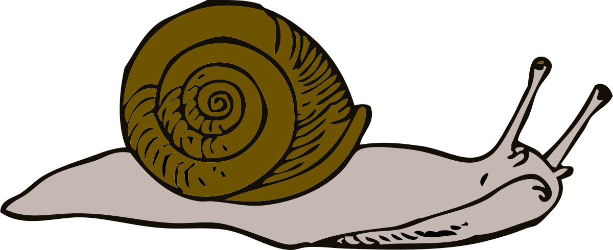 Snail Cliparts 10, - Snail Clipart (2400x982)