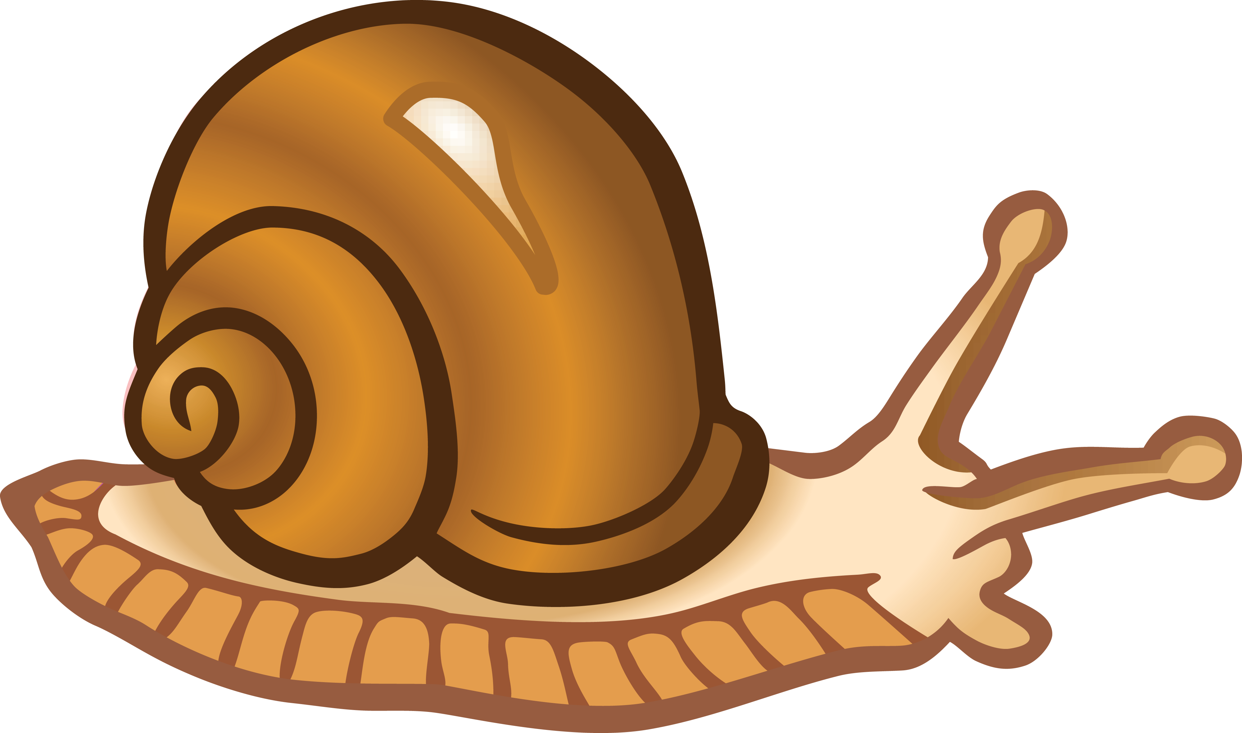 Free Clipart Of A Snail - Free Clip Art Snail (4000x2362)